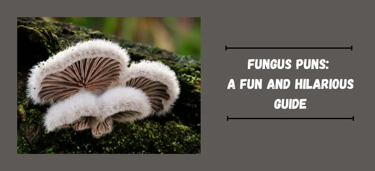 Fungus Puns: A Fun and Hilarious Guide